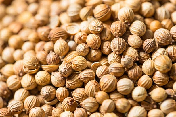 تصویر 1 از قیمت تخم گشنیز خوب با کیفیت ارزان + خرید عمده